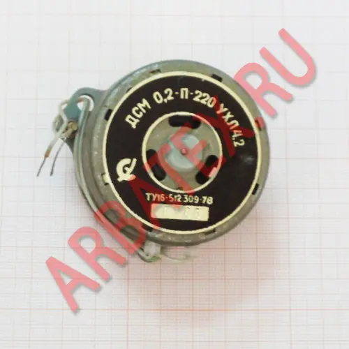 ДСМ 0,2-П-220 УХЛ 4,2 электродвигатель фото 2