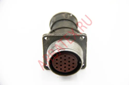 2РМ24БПЭ19Г1В1