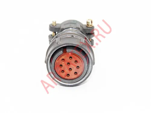 2РМДТ24КПЭ10Г5В1В фото 4