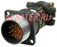 2РМ22БПЭ10Ш1А1 вилка фото